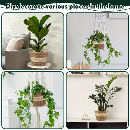 Cestas Decorativas Para Plantas Hechas De Hierba Marina En Un Set De 3 - Macetas Tejidas A Mano Con Inserción De Lámina