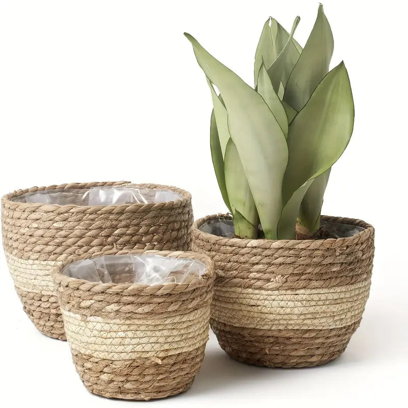 Cestas Decorativas Para Plantas Hechas De Hierba Marina En Un Set De 3 - Macetas Tejidas A Mano Con Inserción De Lámina