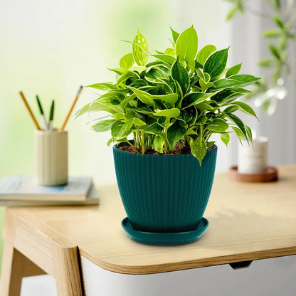 Maceta con Estructura Acanalada y Platillo - Maceta de Plástico Resistente para Plantas