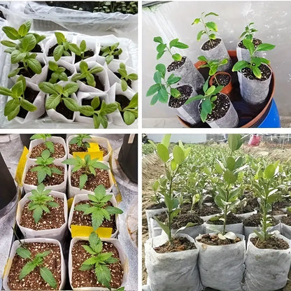 Bolsas de Vellón para Plantas - Bolsas Compostables para Plantas Bolsas de Vellón para Plantas