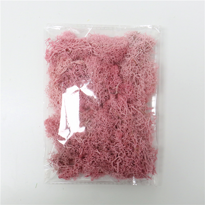 Musgo Artificial para Paisajismo - Musgo y Flores para Decoración y Floristería