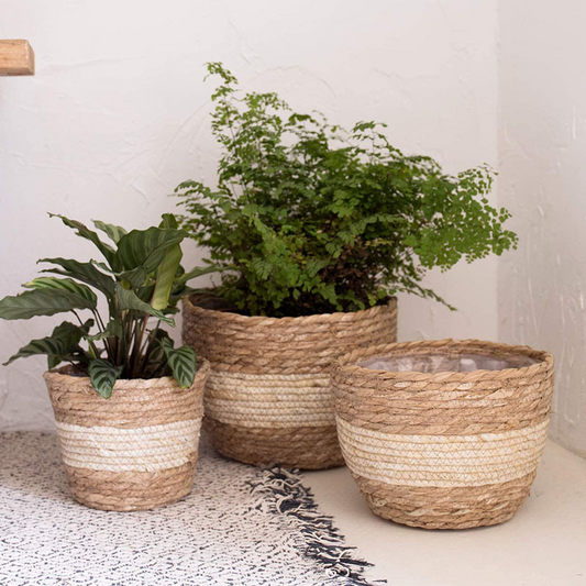 Cestas Decorativas Para Plantas Hechas De Hierba Marina En Un Set De 3 - Macetas Tejidas A Mano Con Inserción De Lámina