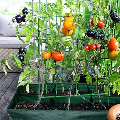 Bolsa de Plantación con Múltiples Compartimentos - Robusto Almacenamiento de Jardín para Plantas y Hierbas