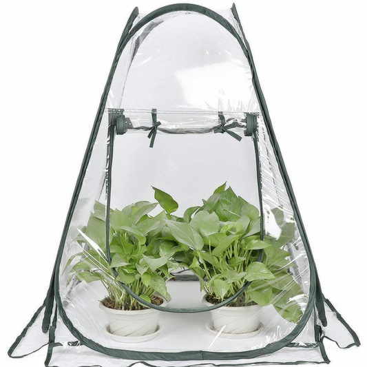 Carpa Protectora Compacta Para Plantas De Jardín - Invernadero Transparente