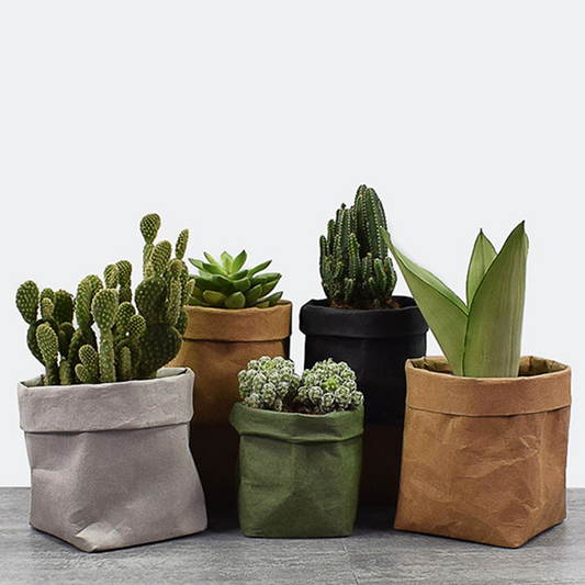 Estilosos Maceteros de Papel para una Decoración Moderna los Maceteros de Papel para una Decoración Moderna