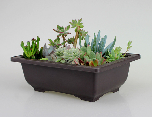 Maceta Con Platillo - Maceta Rectangular Para Jardín Y Balcón Maceta Con Platillo
