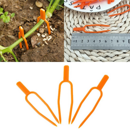 Pinzas De Plástico De Soporte Para Plantas De Jardín Para Una Estabilidad Óptima De Las Plantas