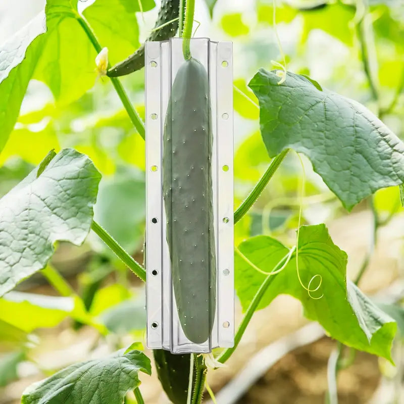 Molde De Verduras En Forma De Estrella Para Pepinos - Carril De Moldeo Creativo Para Frutas Y Verduras
