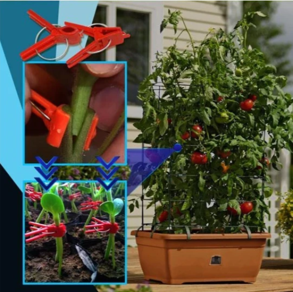 Pinzas de Injerto de Plástico para Plantas de Jardín - Ideales para Hortalizas y el Cuidado de las Plantas
