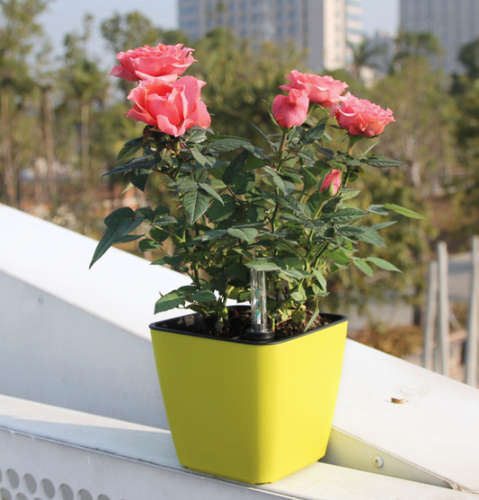 Maceta de Flores con Sistema de Riego - Maceta Autorriego para Uso Interior y Exterior