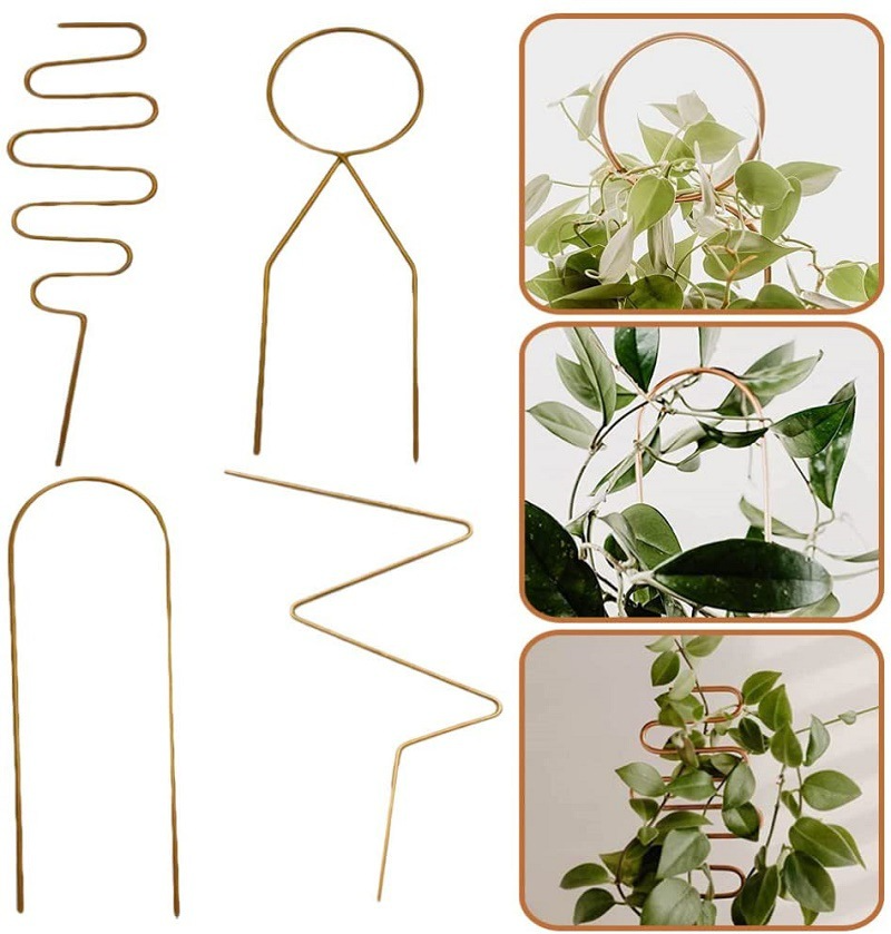 Soporte Metálico para Plantas Trepadoras de Formas Variadas