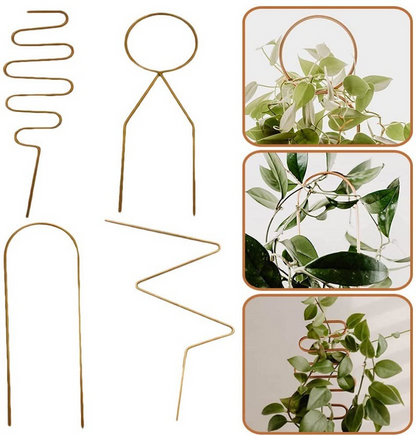 Soporte Metálico para Plantas Trepadoras de Formas Variadas