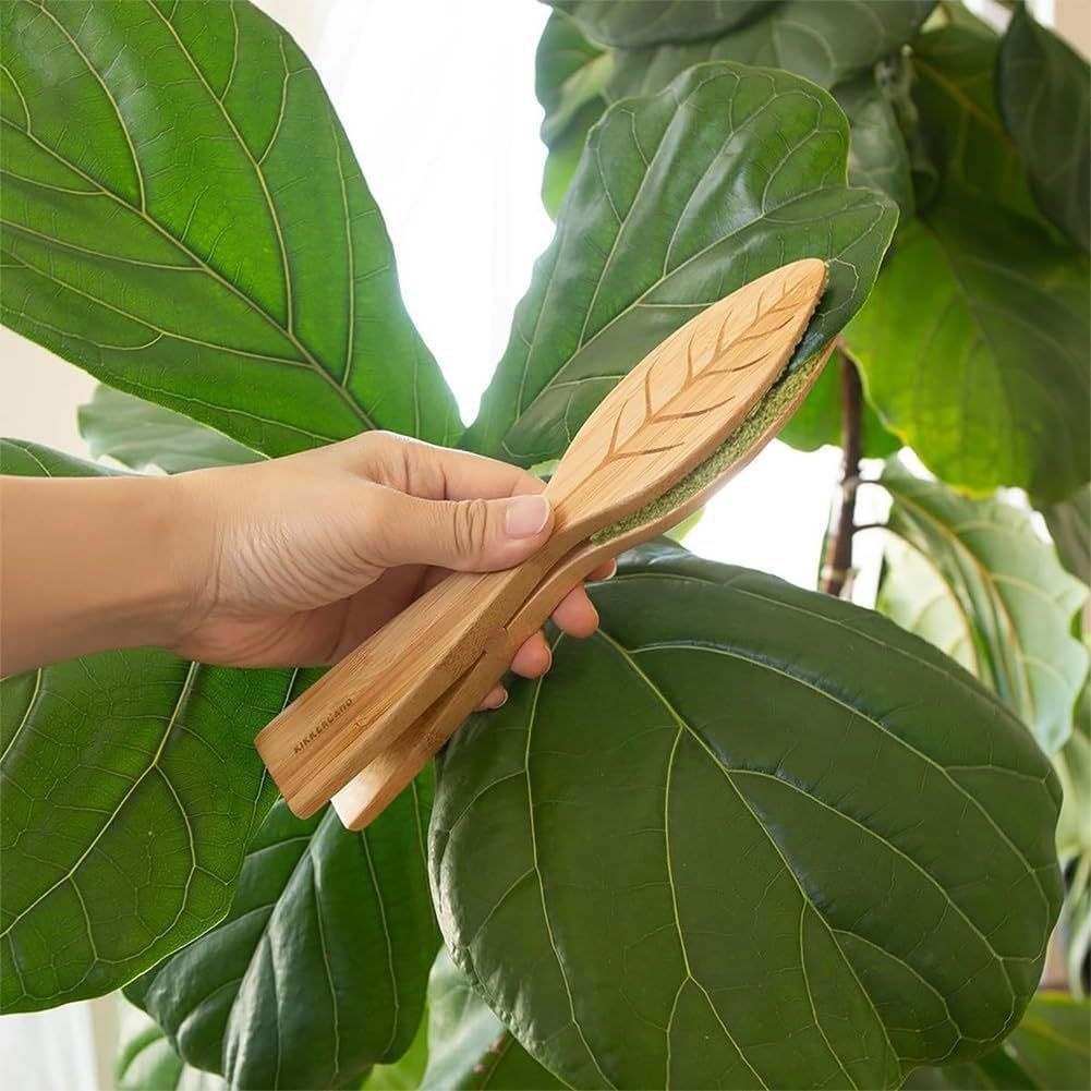 Pinzas para Limpiar las Hojas de las Plantas Fabricadas en Madera para un Cuidado Suave de las Hojas