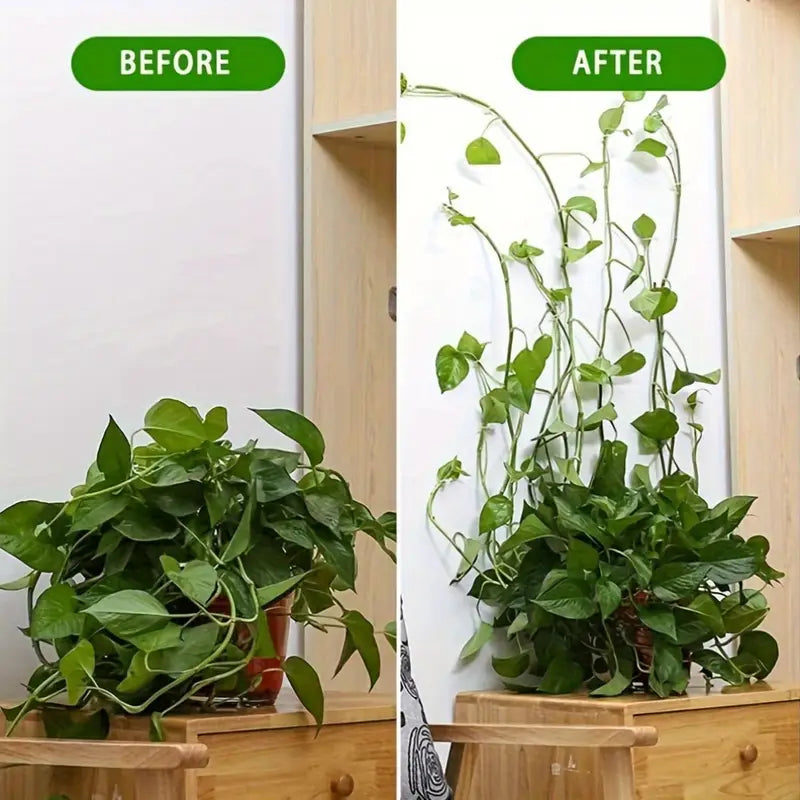 Pinzas de Sujeción a la Pared Trepadoras - Prácticos Soportes para Plantas para la Decoración de Paredes Pinzas de Sujeción a la Pared Trepadoras