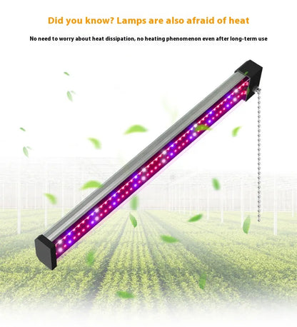 Lámpara Led Para Plantas Con Iluminación De Espectro Completo E Interruptor Pull Para Un Crecimiento Óptimo De Las Plantas