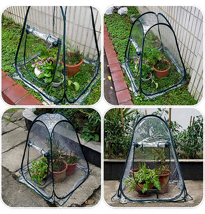 Carpa Protectora Compacta Para Plantas De Jardín - Invernadero Transparente