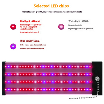 Lámpara Led Para Plantas Con Iluminación De Espectro Completo E Interruptor Pull Para Un Crecimiento Óptimo De Las Plantas