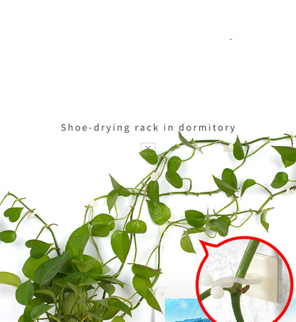 Pinzas de Sujeción a la Pared Trepadoras - Prácticos Soportes para Plantas para la Decoración de Paredes Pinzas de Sujeción a la Pared Trepadoras