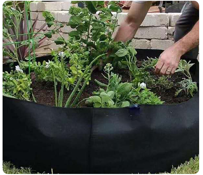 Bolsa Redonda Para El Crecimiento De Las Plantas - Contenedor De Jardín Para Facilitar El Crecimiento De Las Plantas Bolsa Redonda Para El Crecimiento De Las Plantas