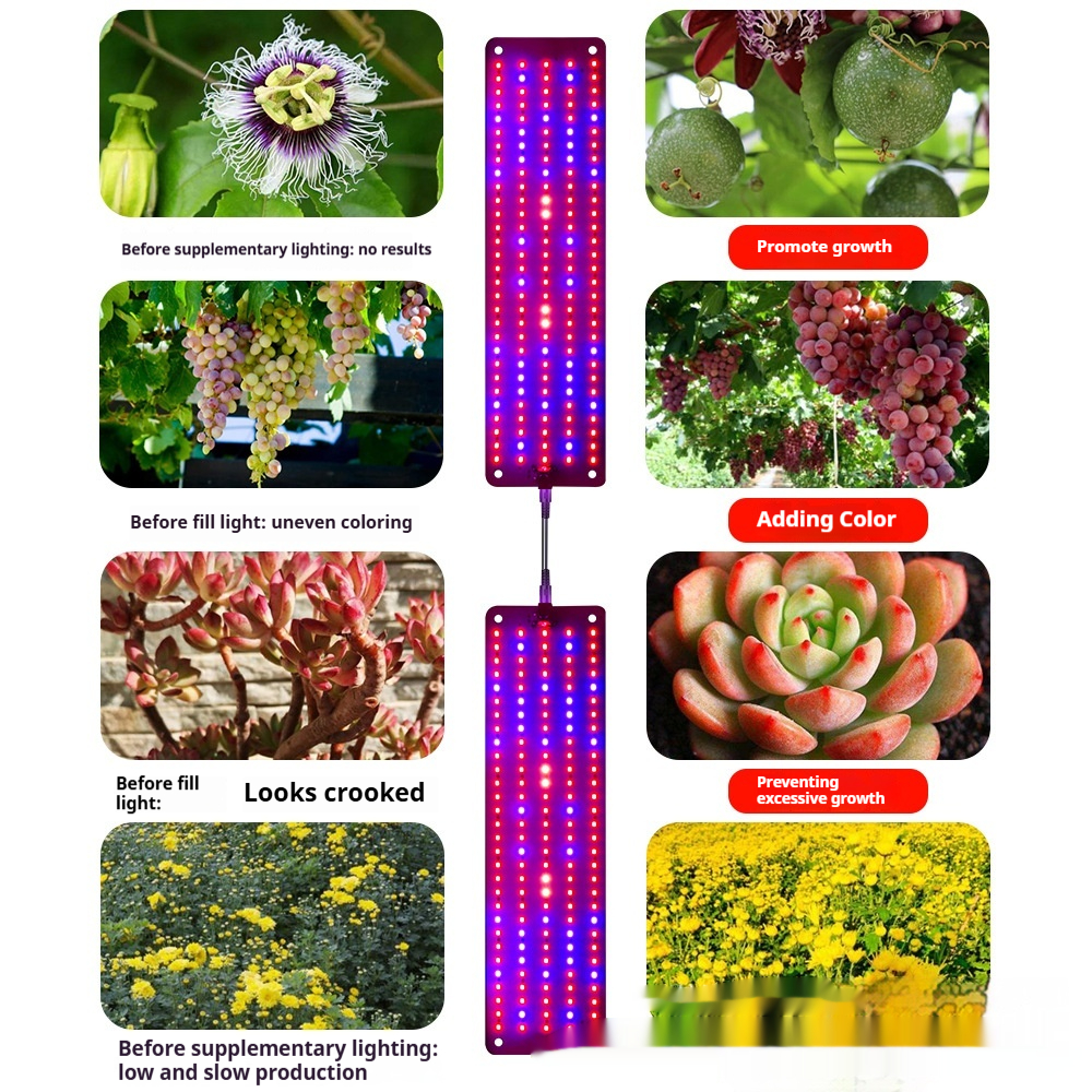 Panel De Luz Led Quantum Para Plantas Para Fomentar El Crecimiento Y El Color - Con Modo De Luz Regulable
