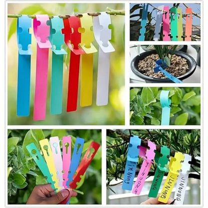 Etiquetas de Plástico Reutilizables para Plantas para Marcar Jardines y Árboles