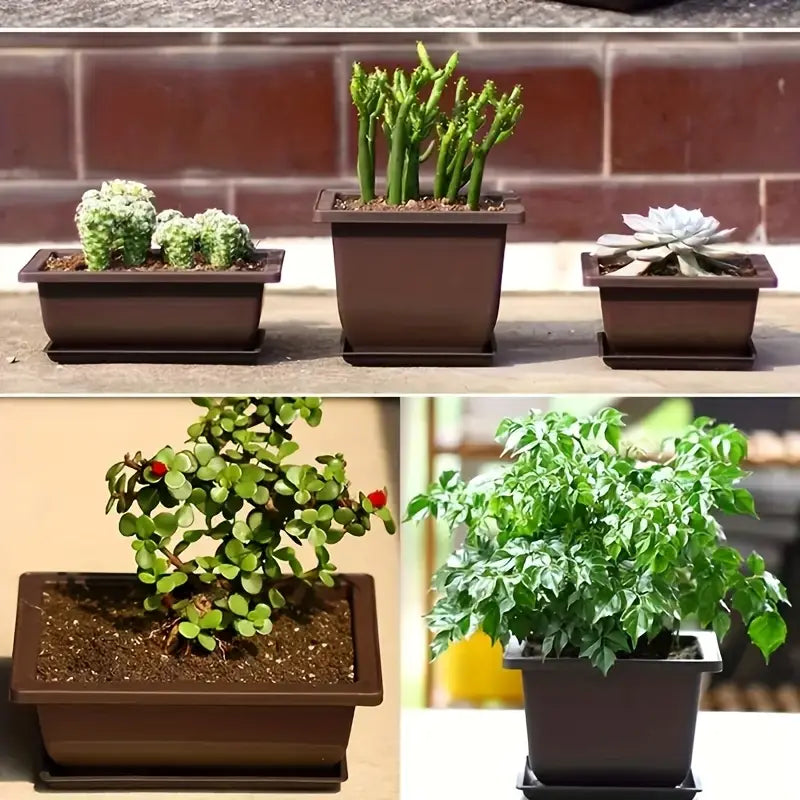 Maceta Con Platillo - Maceta Rectangular Para Jardín Y Balcón Maceta Con Platillo