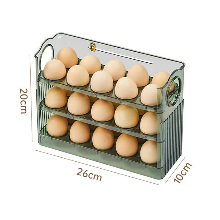 Práctico Organizador de Huevos