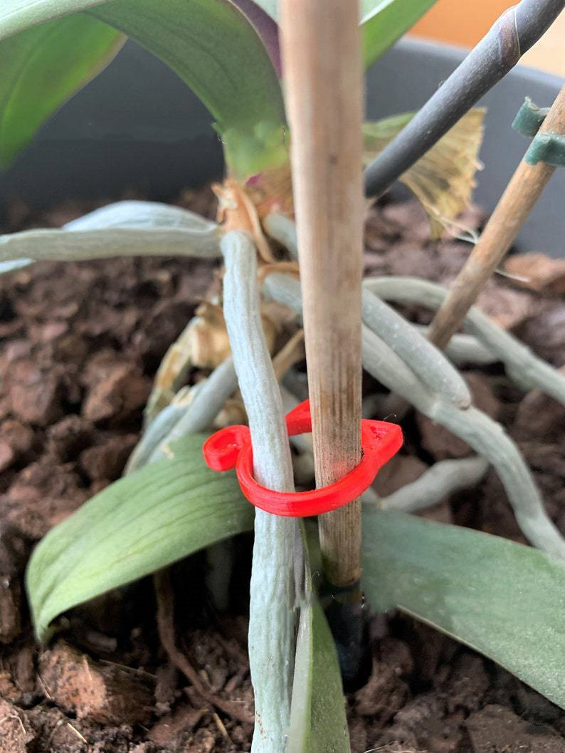 Pinza para Plantas con Forma de Gato - Simpático Soporte para Plantas de Jardín y de Interior