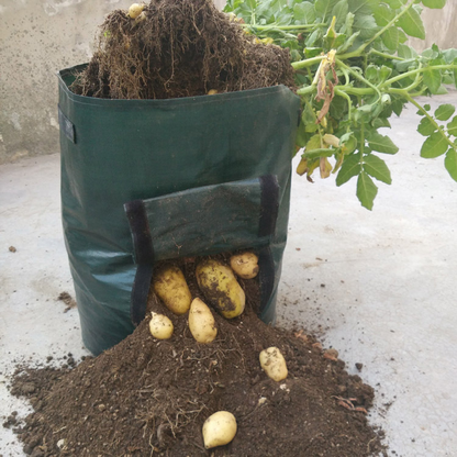 Bolsa de Plantación para Patatas - Reutilizable y con Ventana