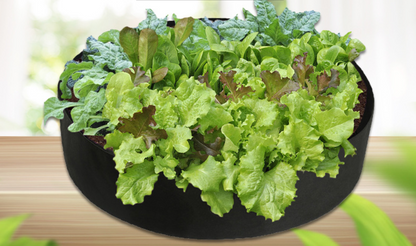 Bolsa Redonda Para El Crecimiento De Las Plantas - Contenedor De Jardín Para Facilitar El Crecimiento De Las Plantas Bolsa Redonda Para El Crecimiento De Las Plantas