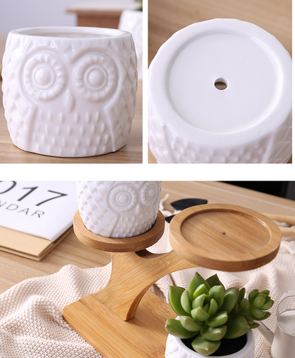 Macetero Decorativo de Madera - Macetas con Diseño de Búho para Suculentas y Plantas de Interior