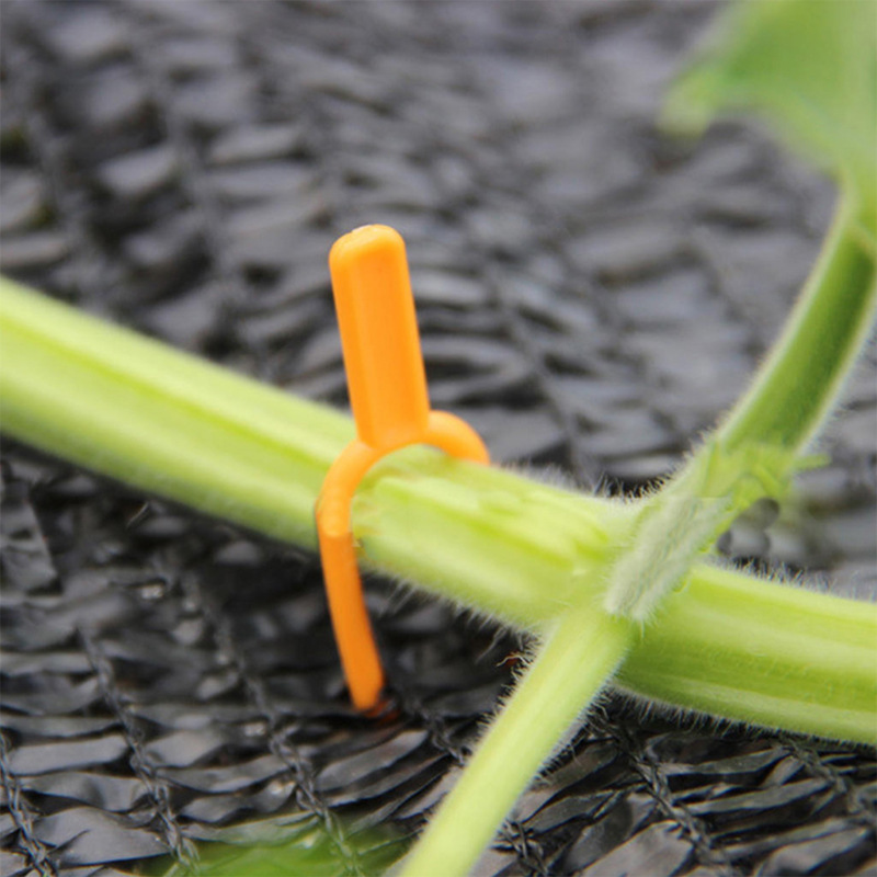 Pinzas De Plástico De Soporte Para Plantas De Jardín Para Una Estabilidad Óptima De Las Plantas
