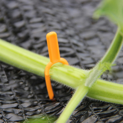 Pinzas De Plástico De Soporte Para Plantas De Jardín Para Una Estabilidad Óptima De Las Plantas