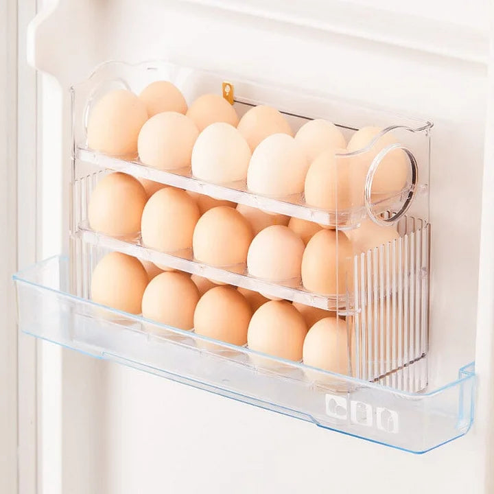 Práctico Organizador de Huevos