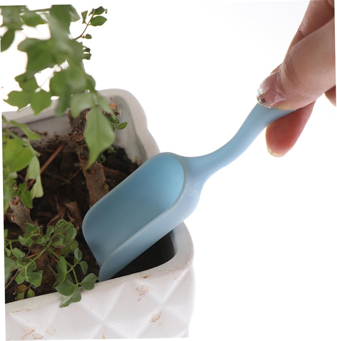 Set Combinado Para Herramientas De Plantación De Suculentas - Práctico Set Para El Cuidado Y La Plantación