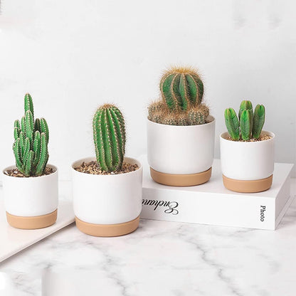 Maceta Autorriego para Orquídeas y Plantas - Maceta de Plástico Maceta Autorriego para Orquídeas y Plantas - Maceta de Plástico