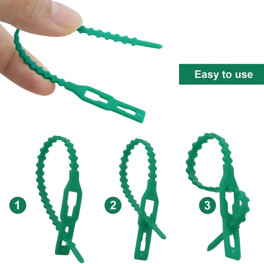 Juego de Bridas de Fijación para Plantas para una Fijación Estable de las Plantas