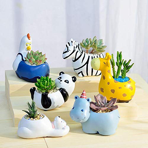 Maceteros de Animales - Divertidos Diseños de Animales para Suculentas y Cactus