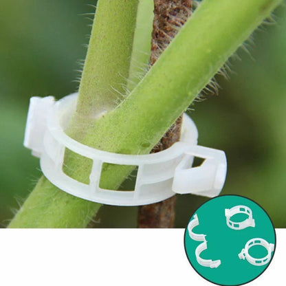 Pinza de Soporte para Plantas Trepadoras - Soporte Flexible para Tallos de Plantas Pinza de Soporte para Plantas Trepadoras