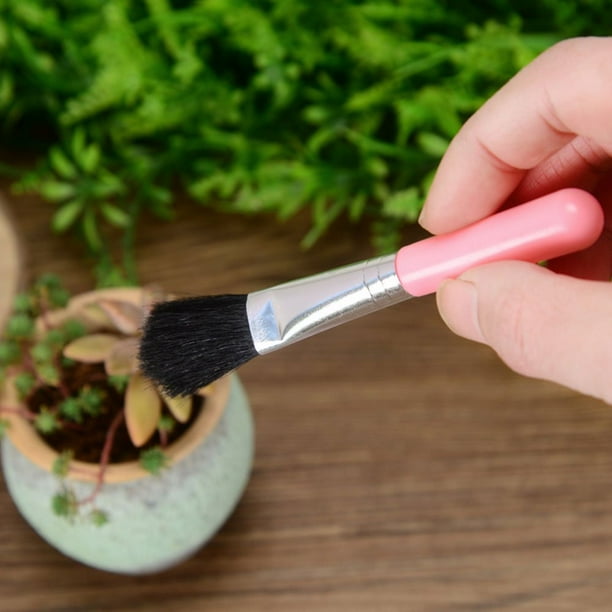 Set Combinado Para Herramientas De Plantación De Suculentas - Práctico Set Para El Cuidado Y La Plantación