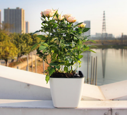 Maceta de Flores con Sistema de Riego - Maceta Autorriego para Uso Interior y Exterior