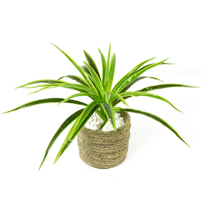 Planta De Césped Artificial - Planta Decorativa Para El Hogar Y La Oficina