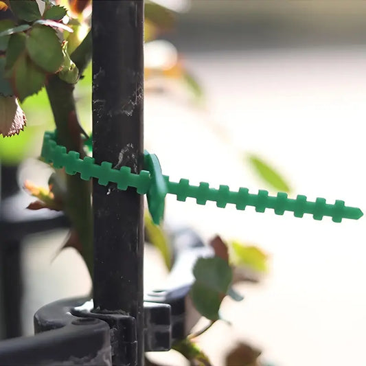 Juego de Bridas de Fijación para Plantas para una Fijación Estable de las Plantas