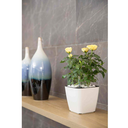 Maceta de Flores con Sistema de Riego - Maceta Autorriego para Uso Interior y Exterior