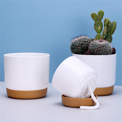 Maceta Autorriego para Orquídeas y Plantas - Maceta de Plástico Maceta Autorriego para Orquídeas y Plantas - Maceta de Plástico