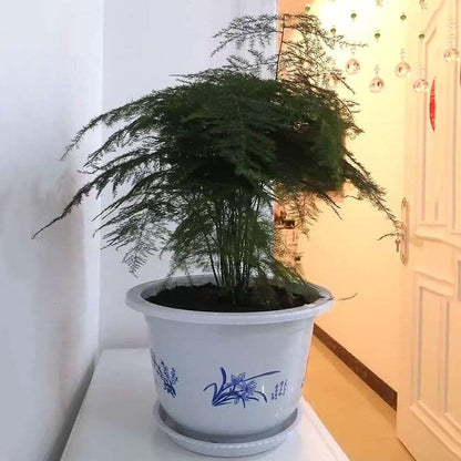 Maceta de Plástico con Motivo de Bambú - Elegante Maceta para Balcón y Jardín