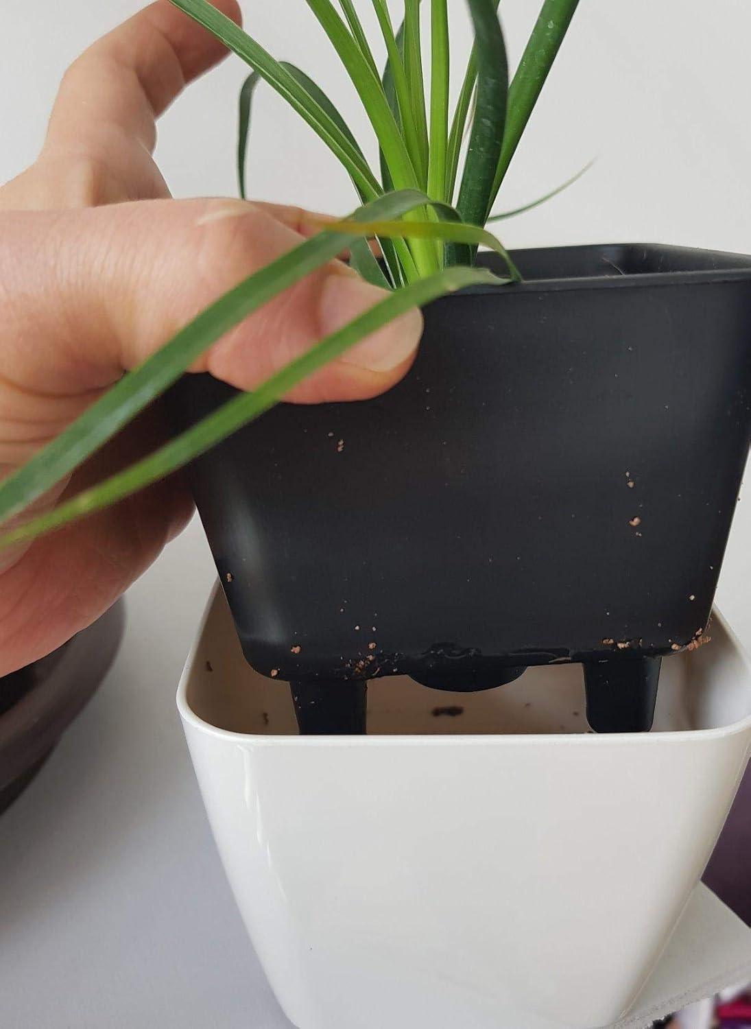 Maceta de Flores con Sistema de Riego - Maceta Autorriego para Uso Interior y Exterior