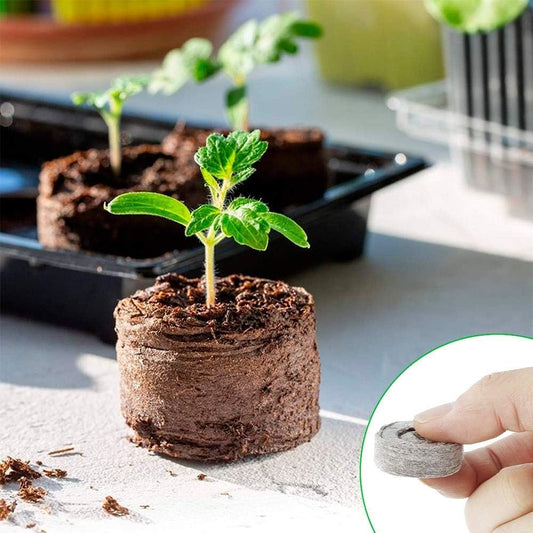 Pellets De Cultivo De Turba De Fibra De Coco - Iniciador Para La Siembra De Semillas Pellets De Cultivo De Turba De Fibra De Coco