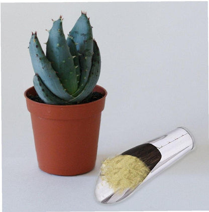 Pala De Acero Inoxidable Para Tierra De Macetas - Pala Robusta Para Plantar En Jardín Y Balcón Pala De Acero Inoxidable Para Tierra De Macetas