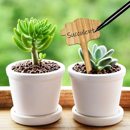 Etiquetas De Madera Para Plantas Para El Jardín Y El Balcón - Etiquetas Regrabables Para Hierbas Y Plantas
